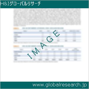 グローバルリサーチ調査レポートのイメージ
